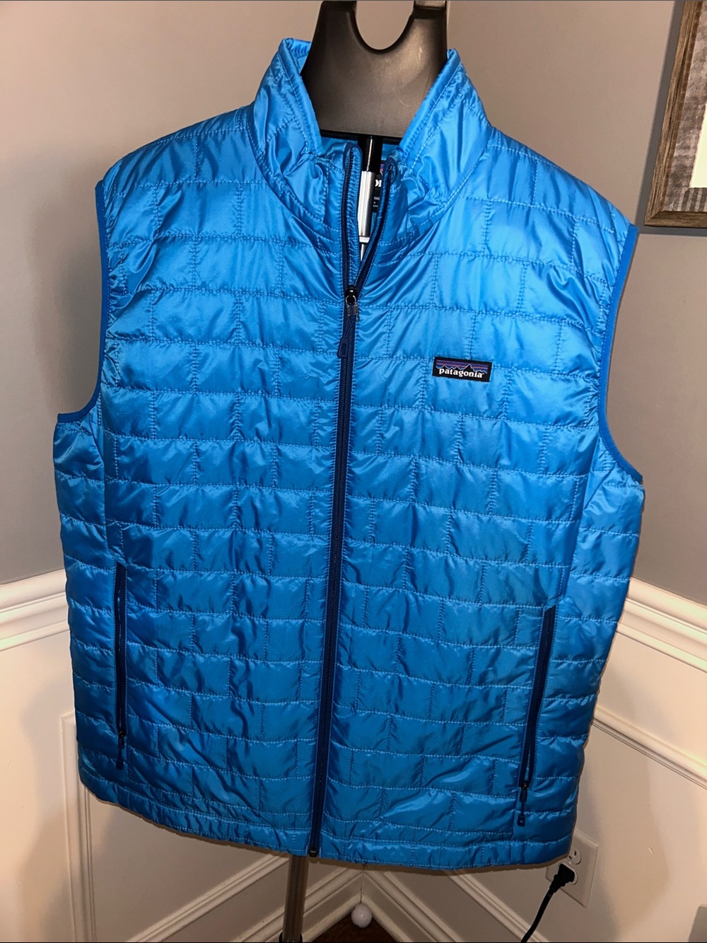 Patagonia Men’s Bright Blue Quilted Vest